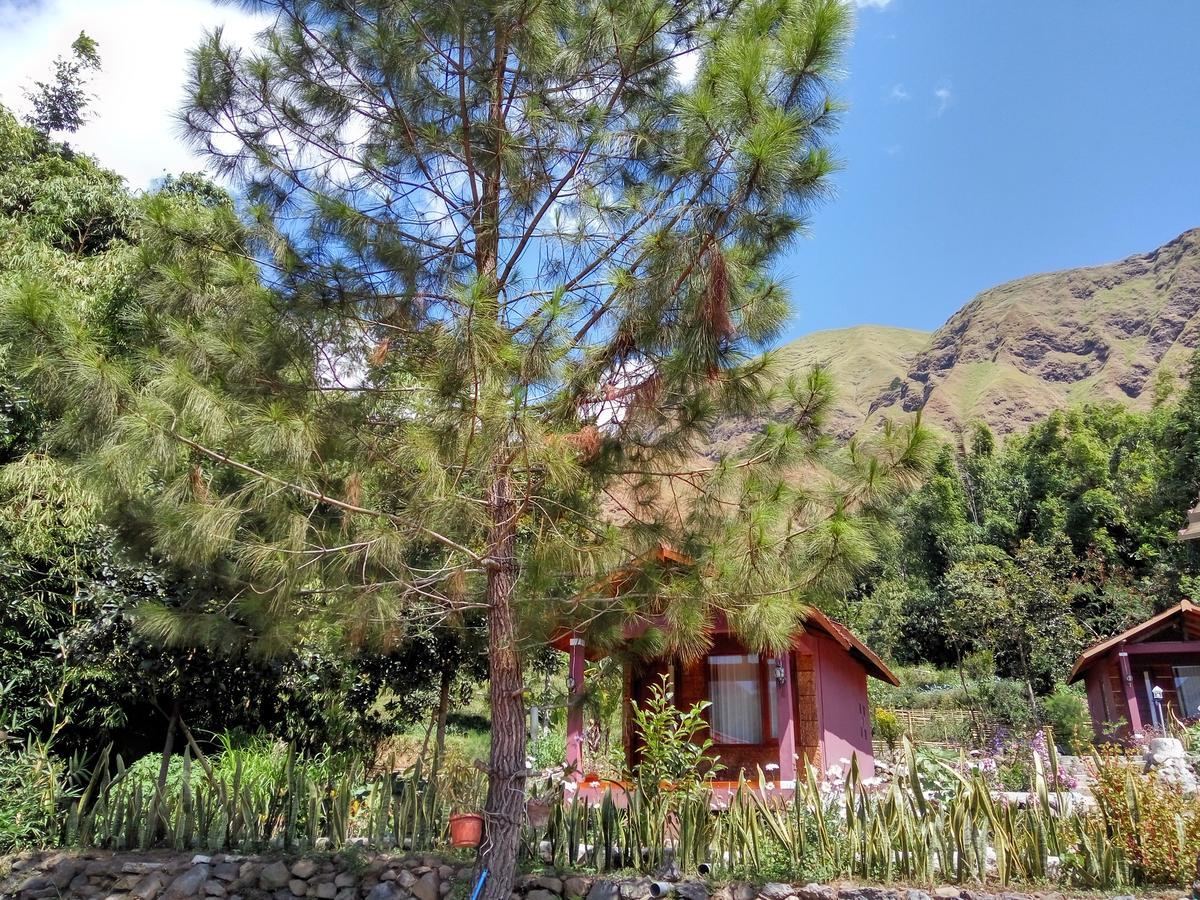Sembalun Kita Cottage Sembalunlawang Exterior foto